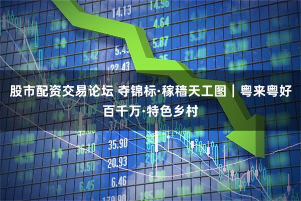 股市配资交易论坛 夺锦标·稼穑天工图｜粤来粤好百千万·特色乡村